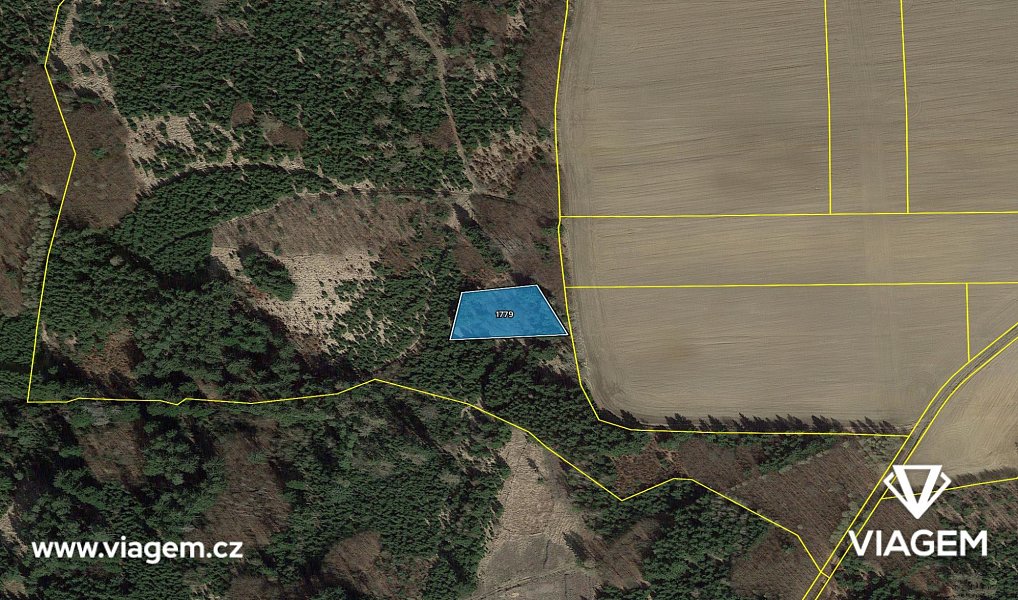 Prodej lesa 1 292 m², Řendějov – náhled fotky 4