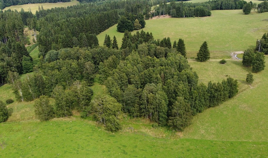 Prodej pole 6 044 m², Březová – náhled fotky 4