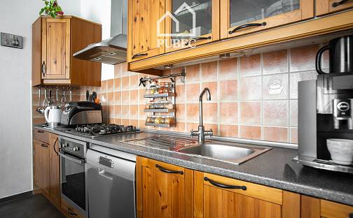 Prodej bytu 2+1 77 m², Pařížská, Plzeň - Východní Předměstí