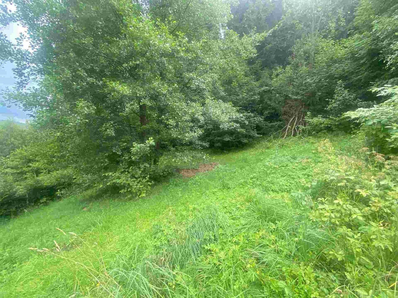 Prodej stavebního pozemku 1 004 m² — photo 4
