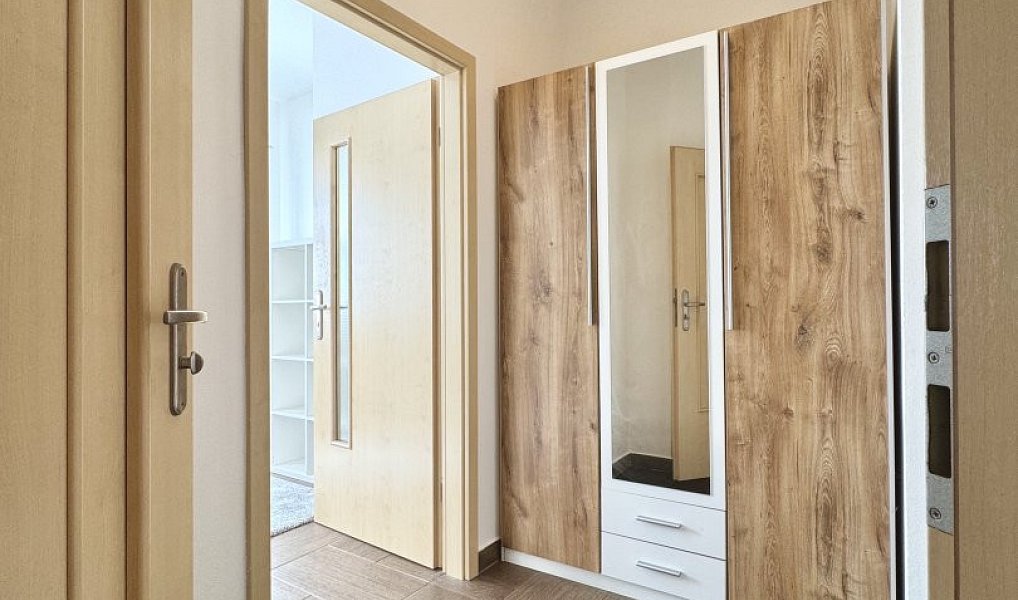Pronájem bytu 1+kk 27 m², Plzeň – náhled fotky 4
