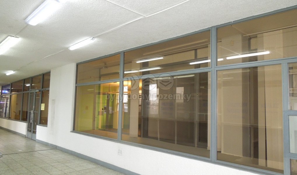 Pronájem obchodních prostor 398 m², Praha – náhled fotky 15