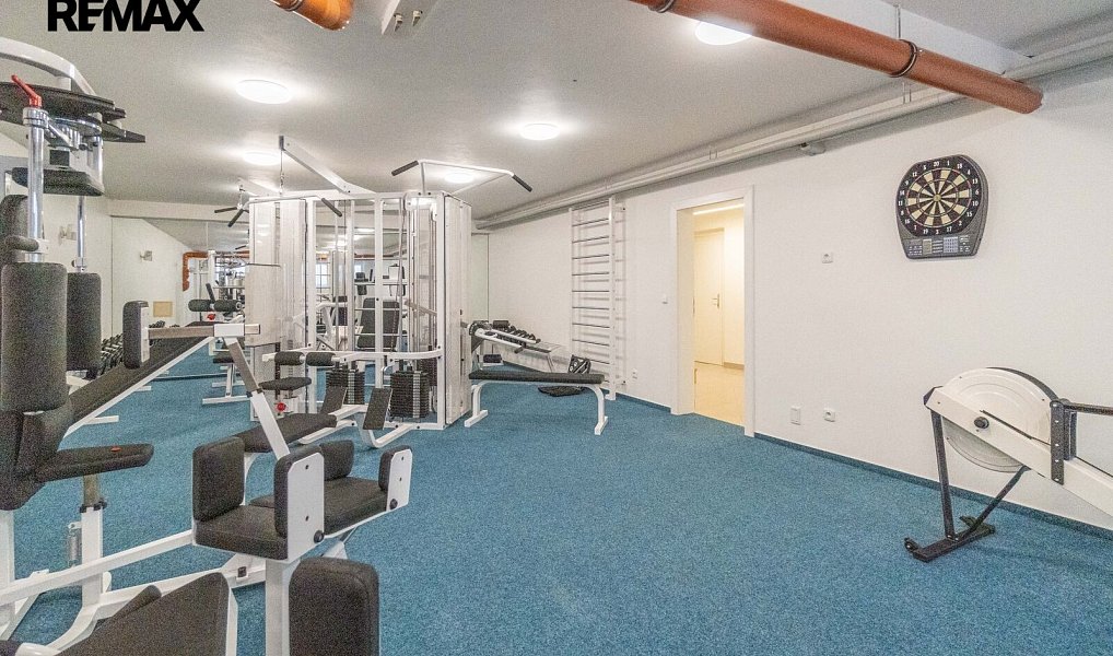 Prodej domu 507 m² s pozemkem 946 m², Praha – náhled fotky 19