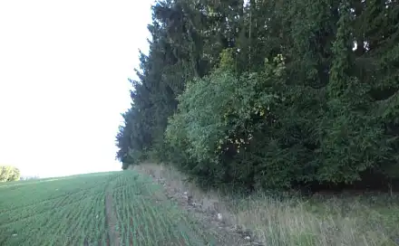Dražba louky 2 385 m², Kolinec