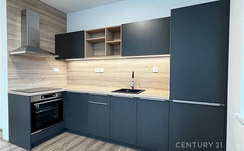 Pronájem bytu 3+kk 65 m², Alešova, Brno - Černá Pole