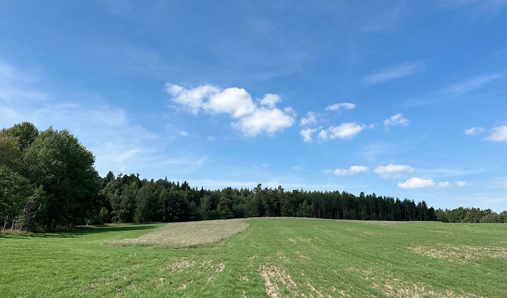 Prodej lesa 12 651 m², Dlouhý Újezd – náhled fotky 4