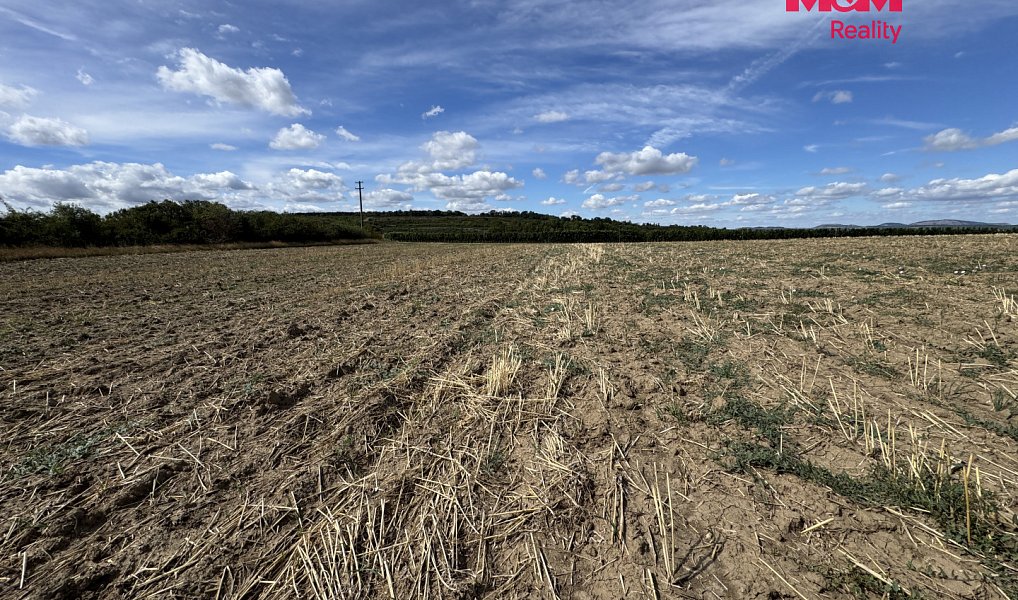 Prodej pole 9 598 m², Valtice – náhled fotky 7