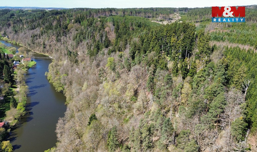 Prodej lesa 39 640 m², Řepeč – náhled fotky 3