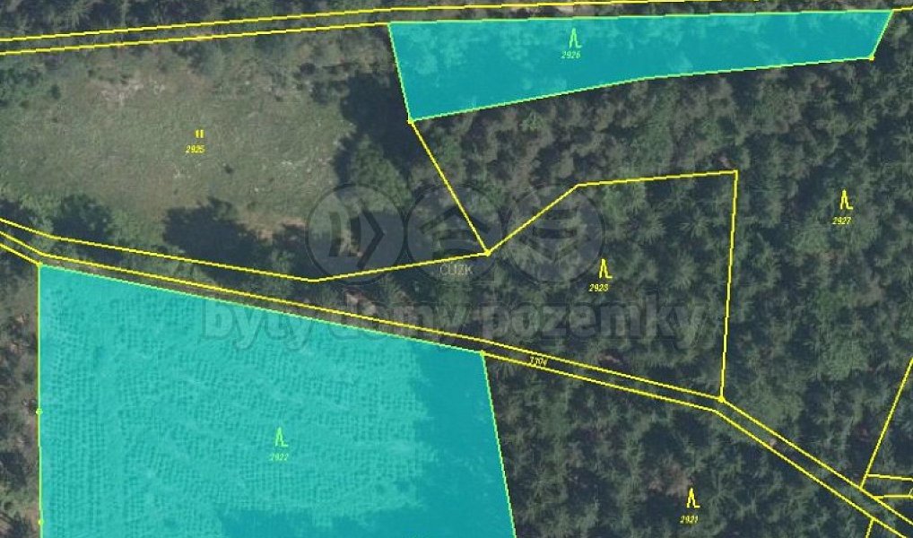 Prodej lesa 8 638 m², Železný Brod – náhled fotky 3