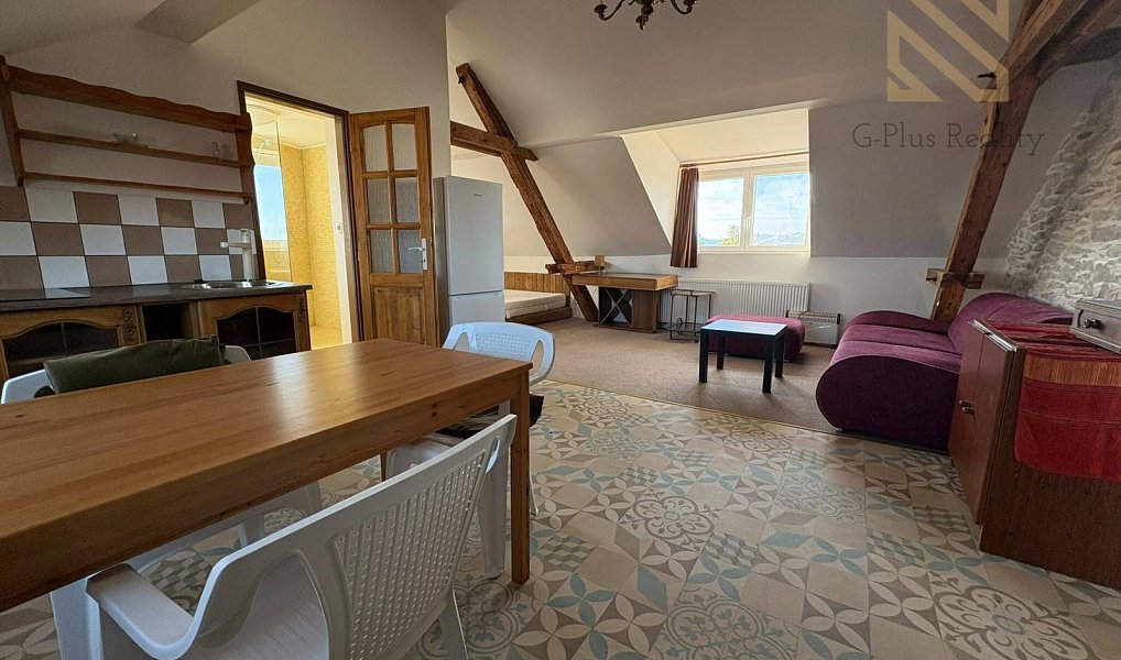 Pronájem bytu 1+kk 48 m², Černiv – náhled fotky 6