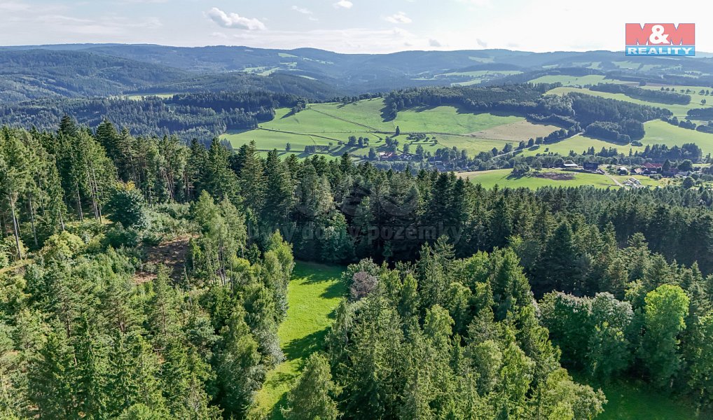 Prodej lesa 15 707 m², Petrovice u Sušice – náhled fotky 4