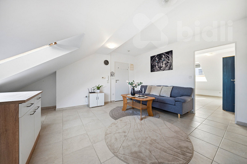 Fotka 4 z 11