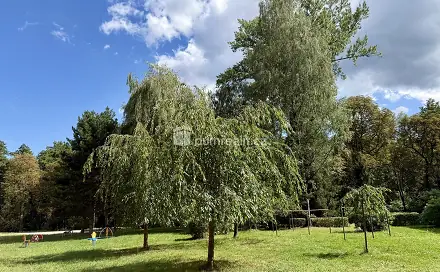 Prodej bytu 3+1 64 m², U Lesa, Karviná - Ráj