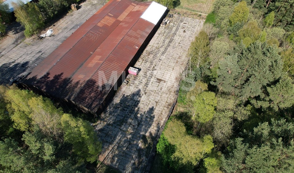Pronájem komerčního pozemku 1 800 m², Ralsko – náhled fotky 5