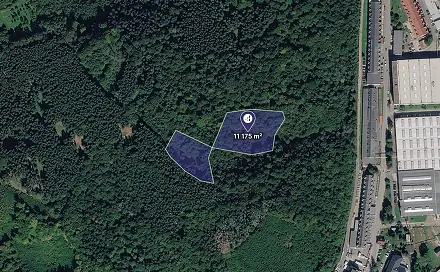 Prodej lesa 11 175 m², Vsetín