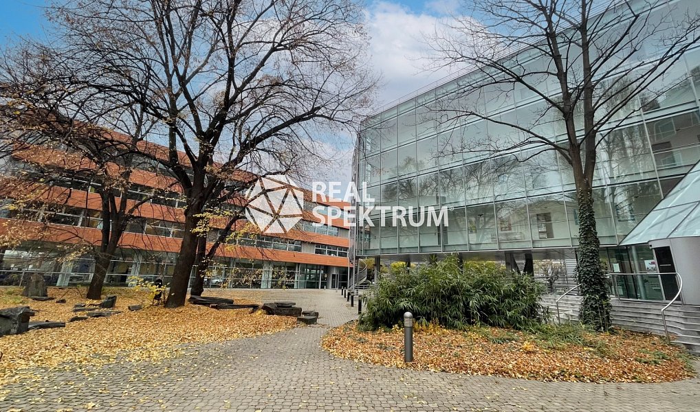 Pronájem kanceláře 45 m², Brno – náhled fotky 16