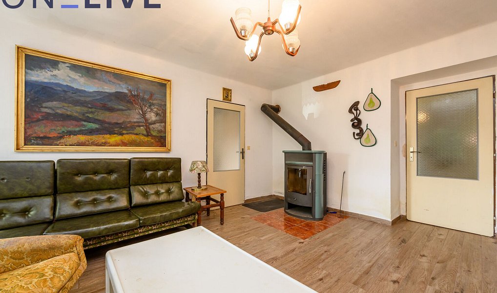 Prodej domu 234 m² s pozemkem 1 080 m², Tužice – náhled fotky 15