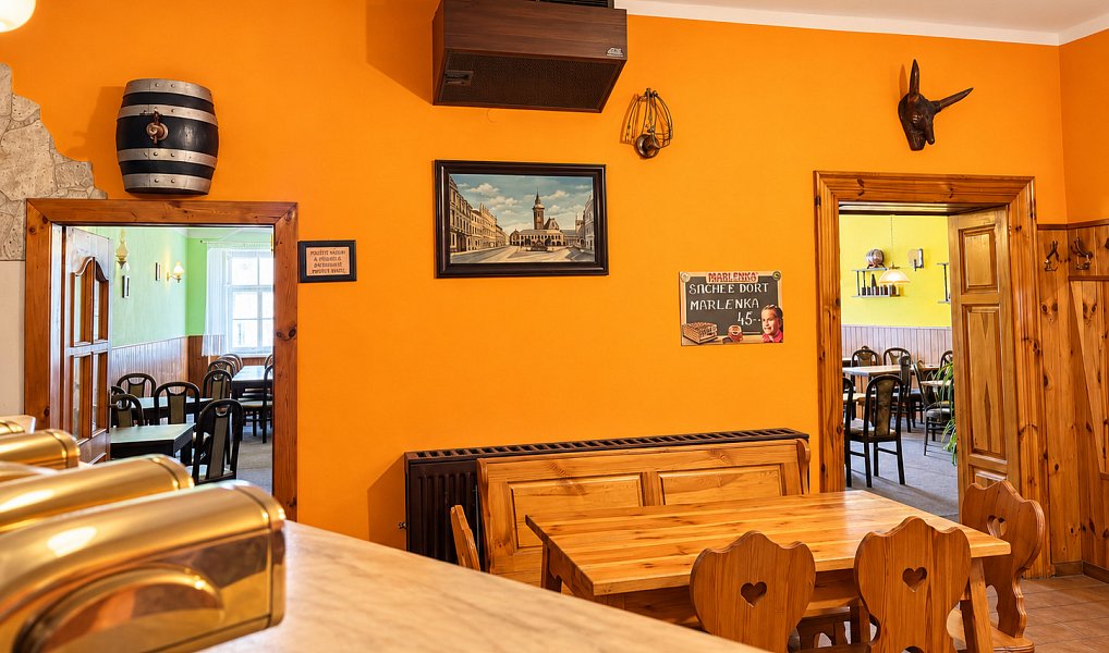 Prodej domu 560 m² s pozemkem 720 m², Slavonice – náhled fotky 10