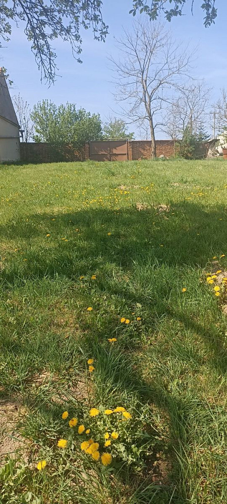 Prodej stavebního pozemku 510 m² — photo 5