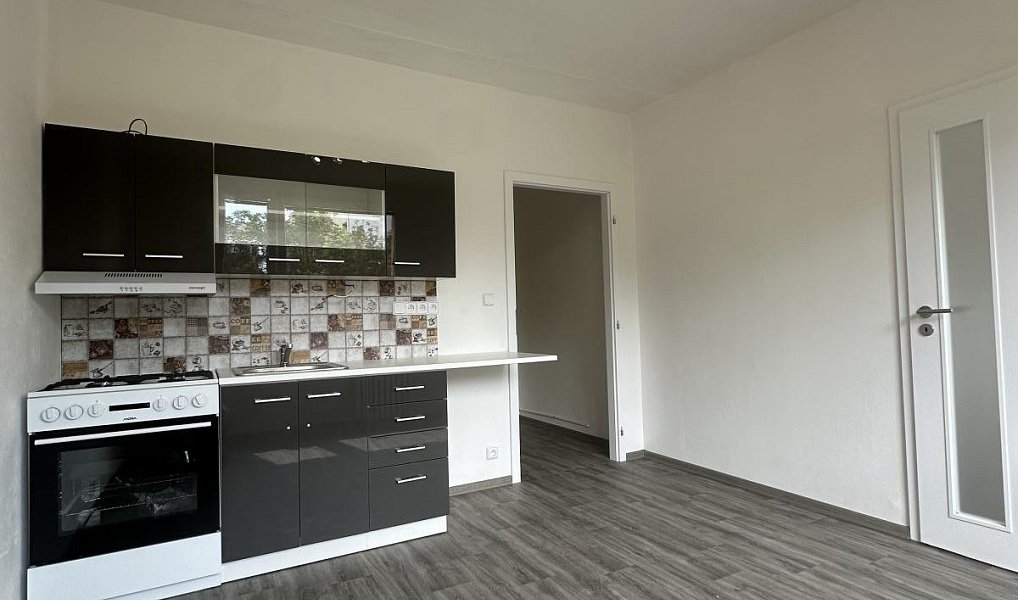 Pronájem bytu 1+1 36 m², Duchcov – náhled fotky 5