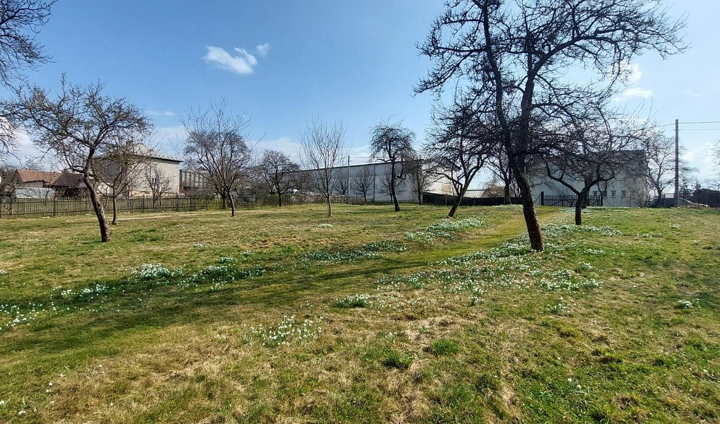 Prodej stavebního pozemku 1 563 m², Lešná – náhled fotky 16