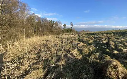 Prodej pole 448 m², Okna, okres Česká Lípa