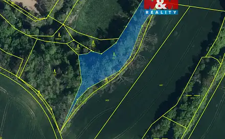 Prodej lesa 2 904 m², Ronov nad Doubravou, okres Chrudim