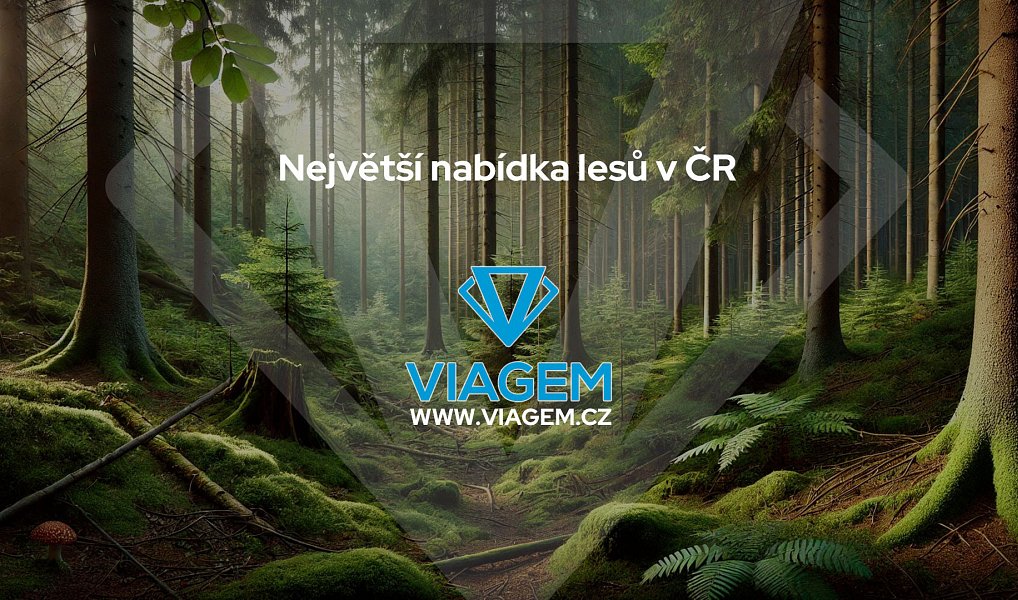 Prodej lesa 1 820 m², Manětín – náhled fotky 5