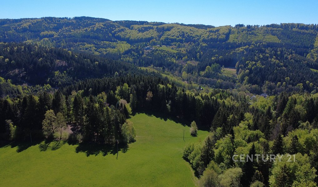 Prodej domu 131 m² s pozemkem 49 321 m², Držková – náhled fotky 24