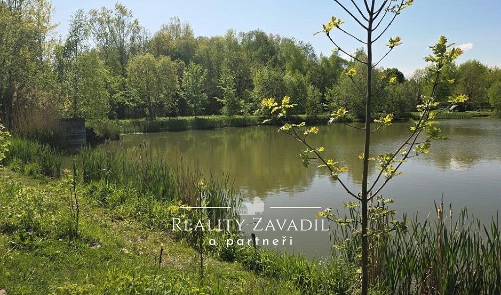 Prodej komerčního pozemku 32 500 m², Žabeň – náhled fotky 7