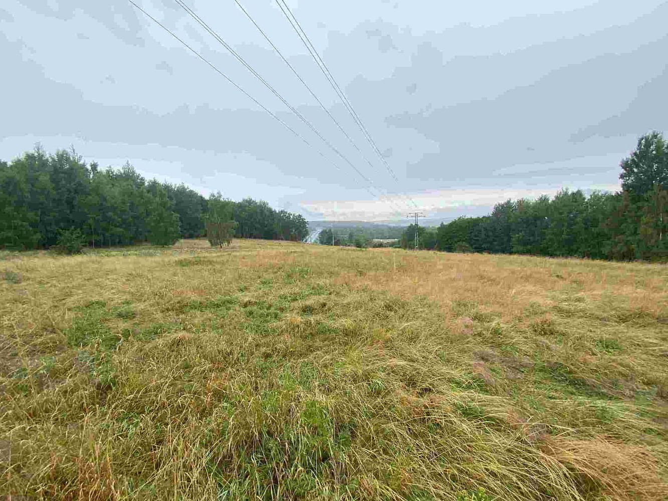 Prodej pole 49 321 m²