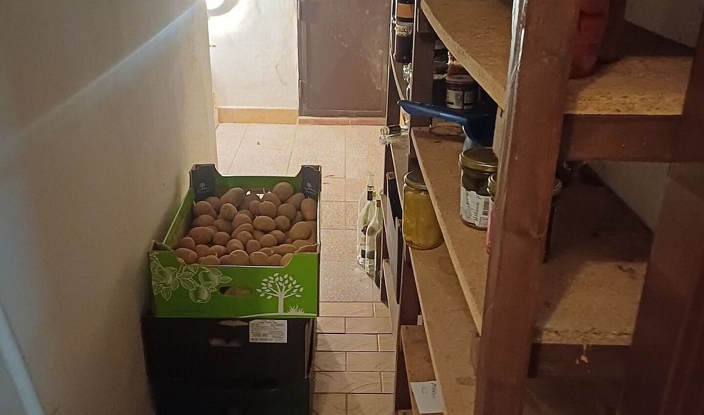 Prodej domu 230 m² s pozemkem 359 m², Držovice – náhled fotky 17