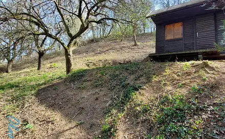 Ostatní
