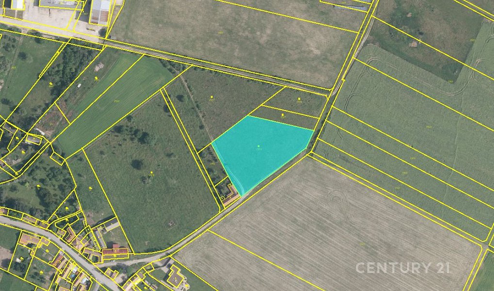 Prodej pole 7 215 m², Křepice – náhled fotky 2