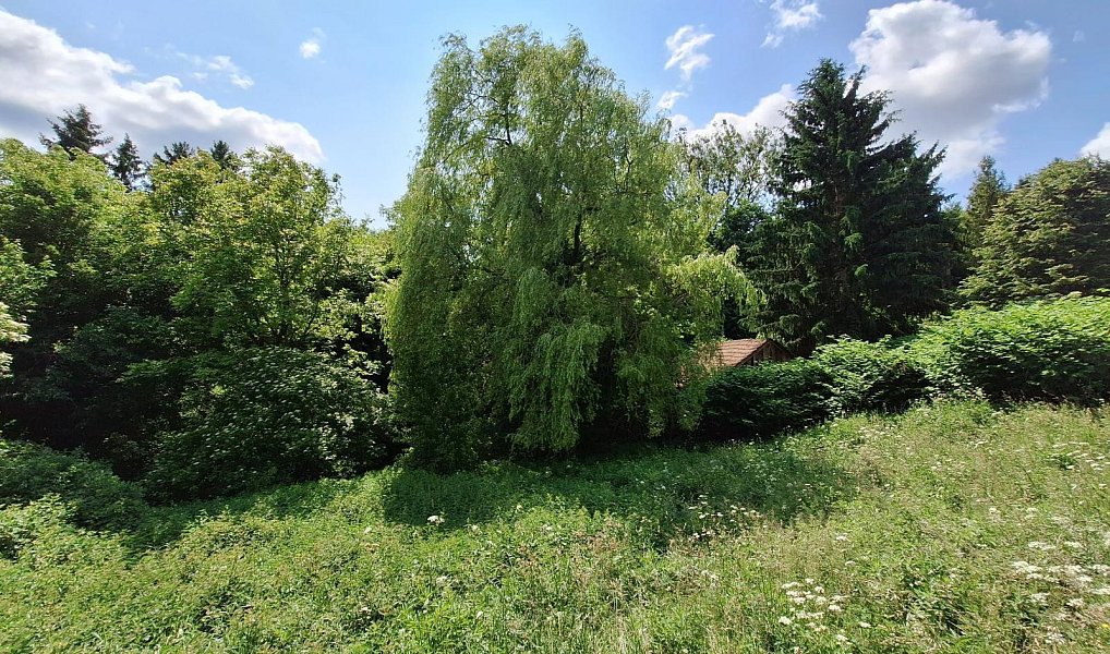 Prodej domu 80 m² s pozemkem 18 929 m², Žítková – náhled fotky 13