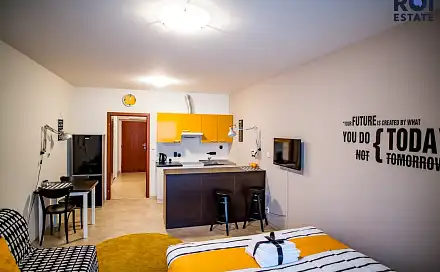 Pronájem bytu 1+kk 41 m², Vídeňská, Brno - Štýřice