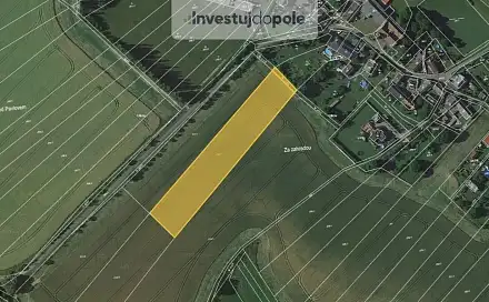 Prodej pole 3 386 m², Pavlov, okres Šumperk