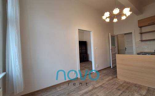 Pronájem bytu 3+kk 71 m², Opletalova, Praha 1 - Nové Město