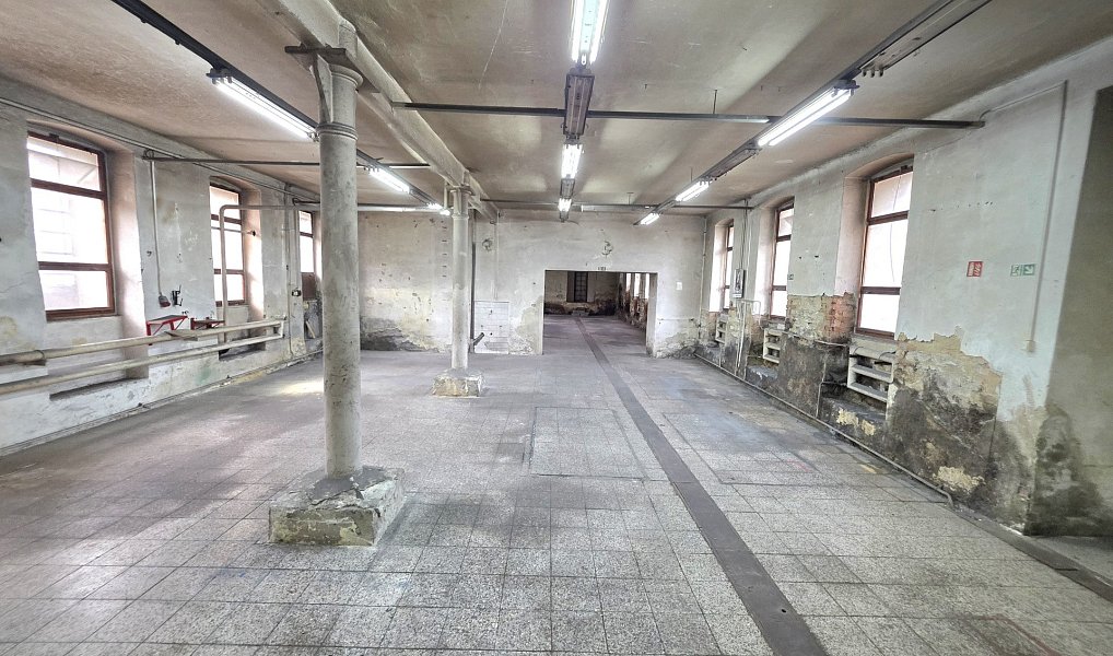 Pronájem výrobních prostor 3 768 m², Březová nad Svitavou – náhled fotky 3