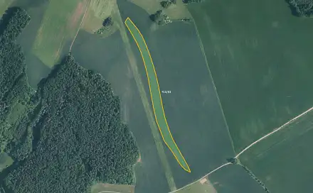 Prodej pole 9 706 m², Lažany, okres Blansko