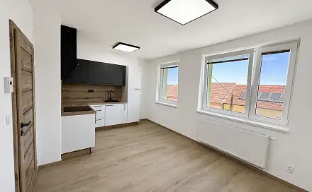 Prodej bytu 2+1 56 m²