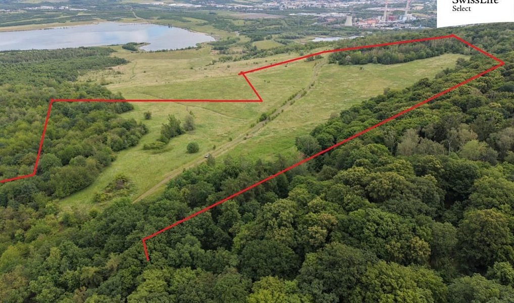 Prodej louky 216 333 m², Ústí nad Labem – náhled fotky 4