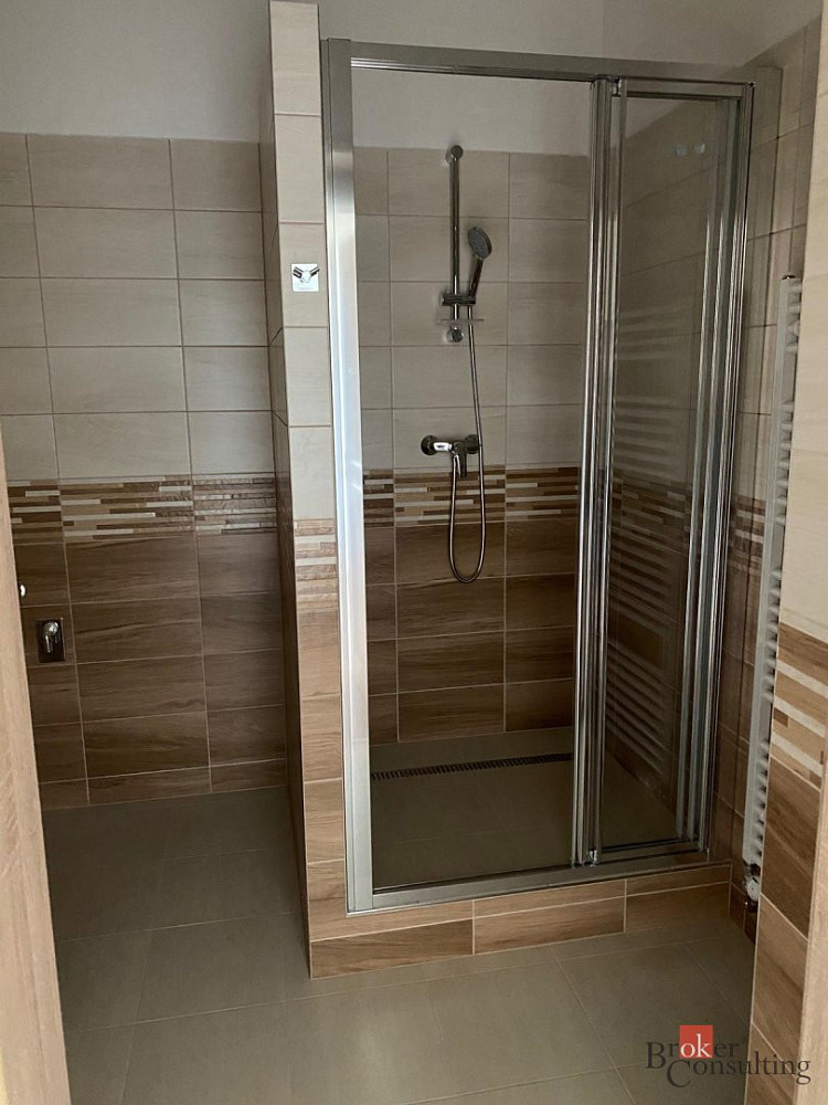 Pronájem bytu 1+1 35 m² – fotografie 4