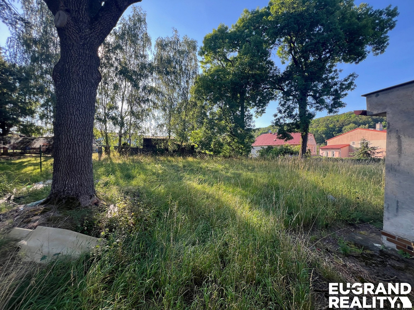 Fotka 25 z 26