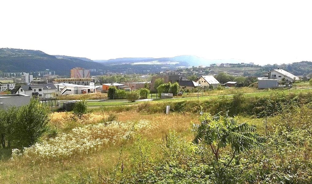 Pronájem stavebního pozemku 1 116 m², Beroun – náhled fotky 3