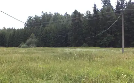 Dražba louky 13 137 m², Lom u Tachova