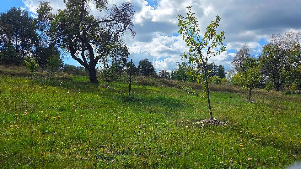 Fotka 9 z 16