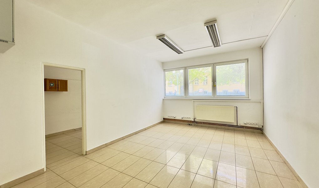 Pronájem obchodních prostor 593 m², Blatná – náhled fotky 6