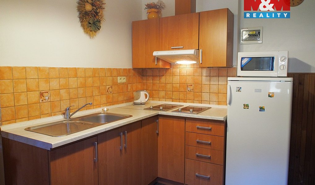 Prodej domu 217 m² s pozemkem 2 450 m², Benešov nad Černou – náhled fotky 9