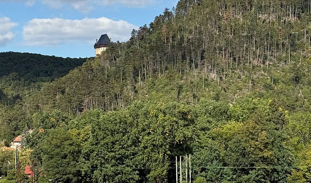Prodej bytu 3+1 133 m², Karlštejn – náhled fotky 19